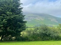 IMG_0877