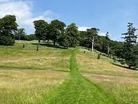 IMG_4140