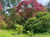 IMG_0896