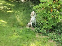 SAM_9201