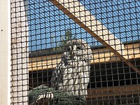 SAM_9192