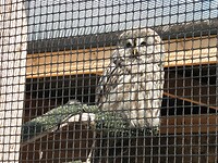 SAM_9183