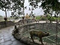 IMG_4701