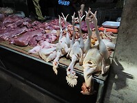 SAM_0175