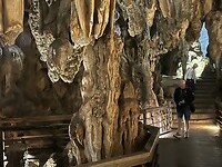 IMG_4776