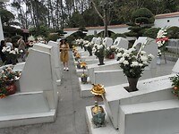 SAM_0244