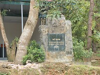 SAM_0239