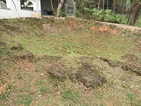 SAM_0238