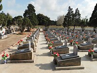 SAM_0305