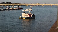SAM_9816