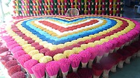 SAM_9811