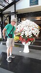 SAM_9848