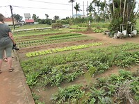 SAM_0499