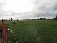 SAM_0473