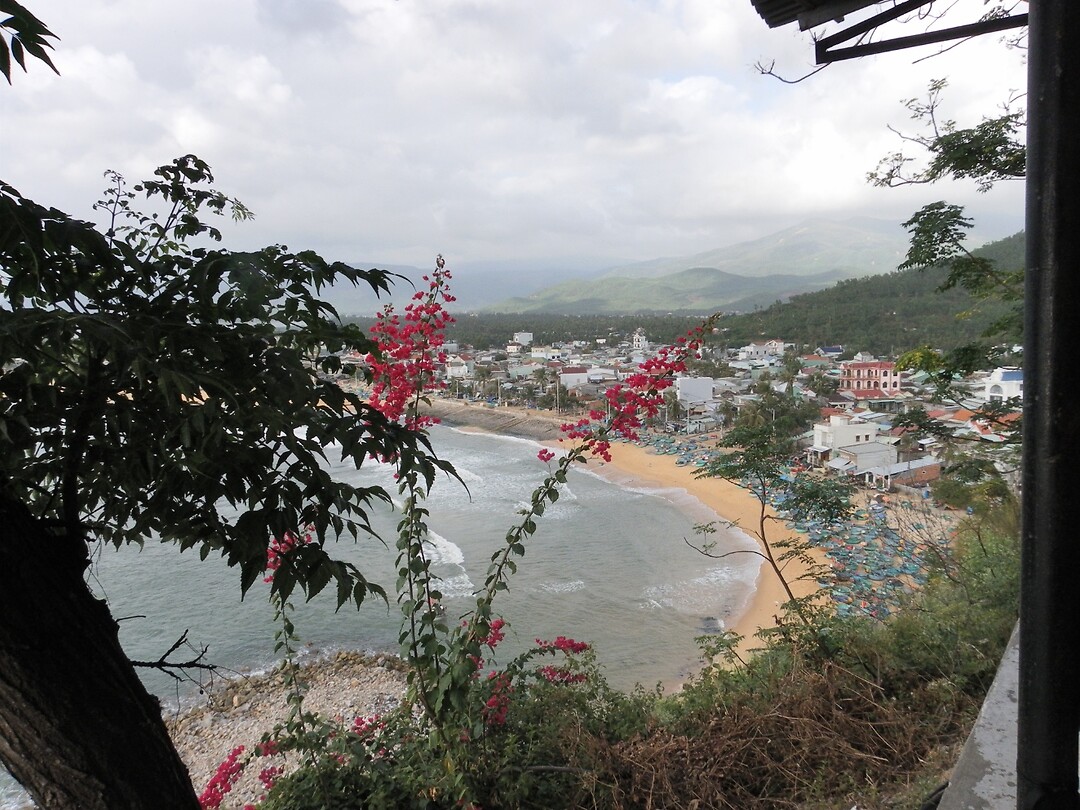 SAM_0616