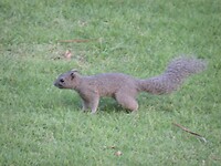 SAM_0797