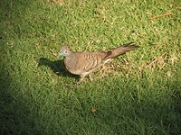 SAM_0793