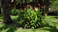 SAM_9959