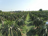SAM_0822