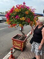 IMG_4971