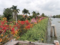 SAM_0975