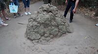SAM_0050