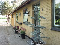 SAM_0003