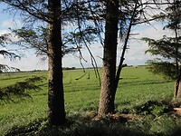 SAM_0008