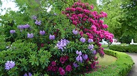 SAM_0112