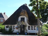 SAM_0133