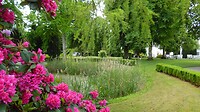 SAM_0113
