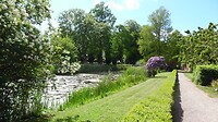 SAM_0110
