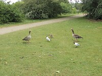 SAM_0190