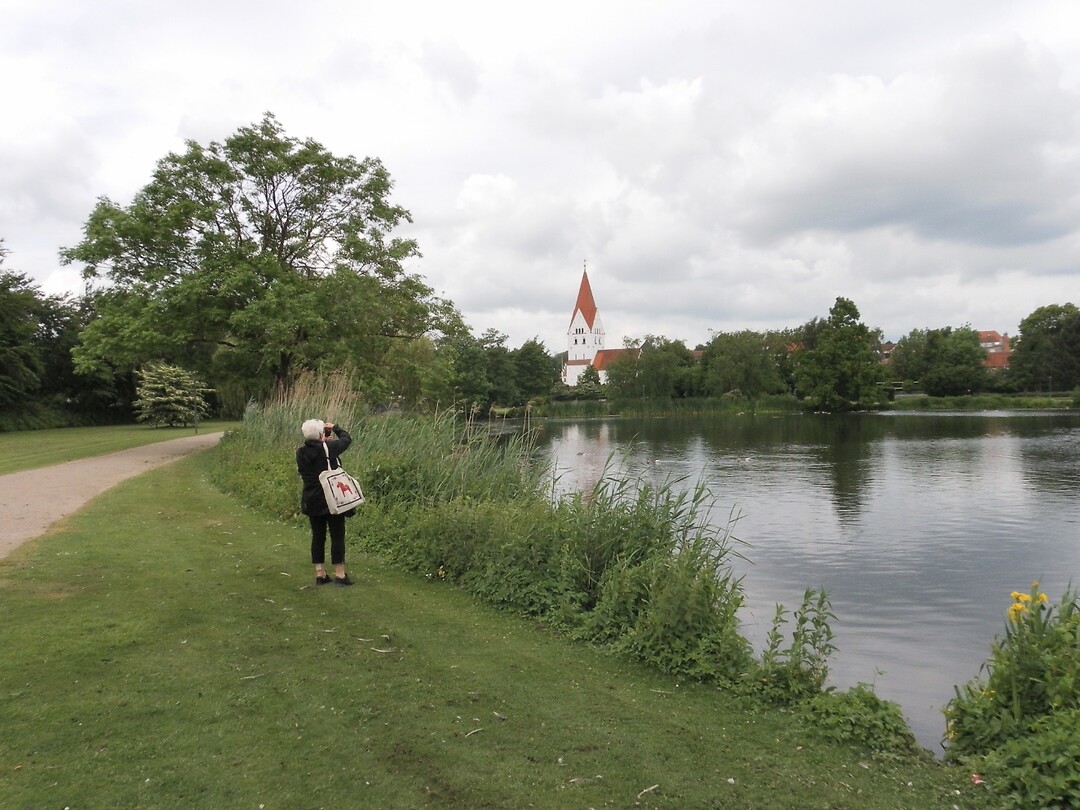 SAM_0196