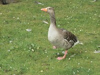 SAM_0201