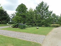 SAM_0193