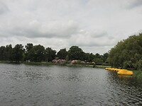 SAM_0184