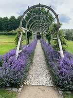 IMG_5137