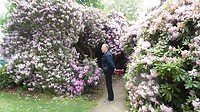 SAM_0215