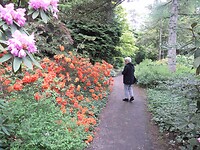 SAM_0217