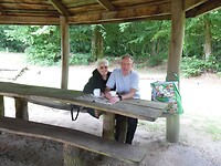 SAM_0295
