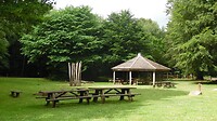 SAM_0239