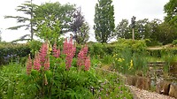 SAM_0274