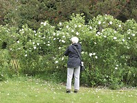 SAM_0214