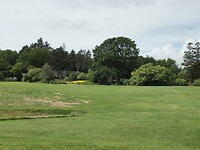 SAM_0203