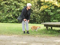SAM_0241