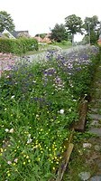 SAM_0314