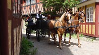 SAM_0339