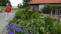 SAM_0374
