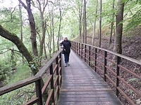 SAM_0294